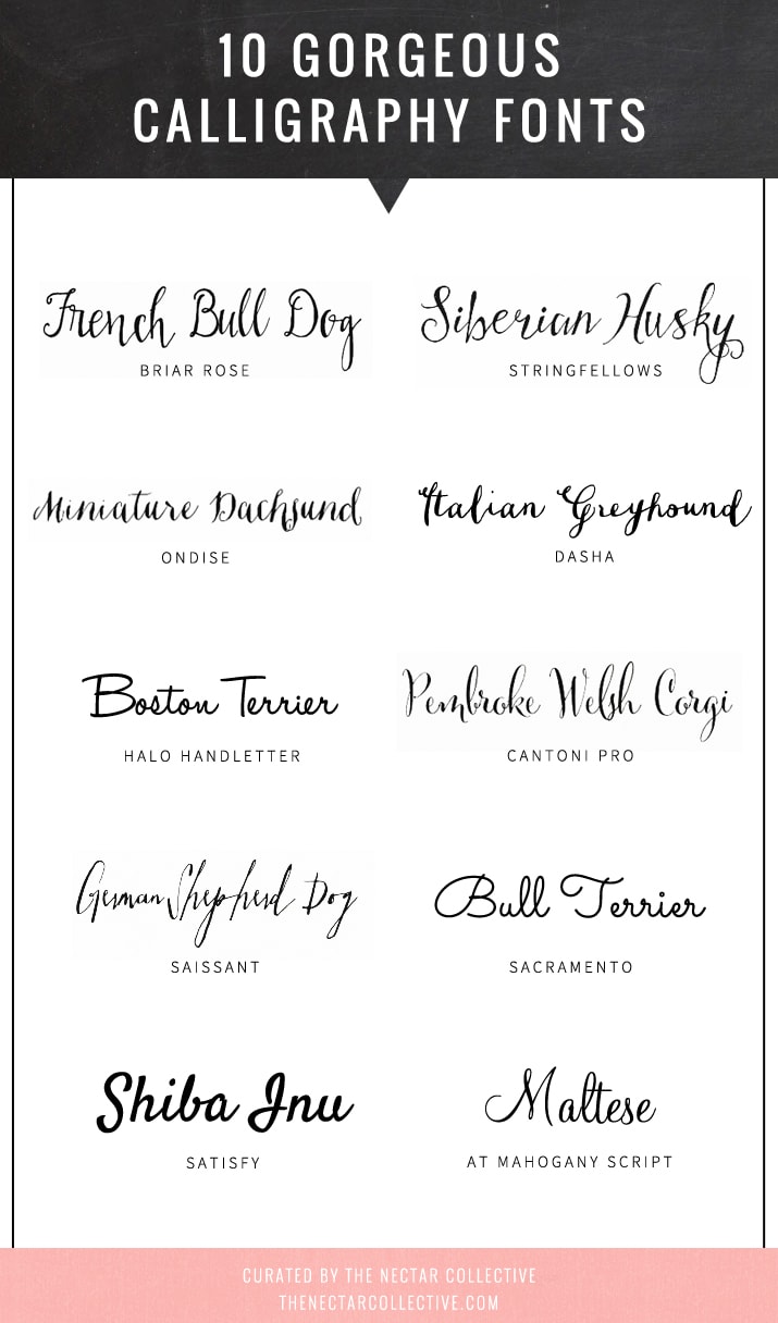 calligraphy fonts